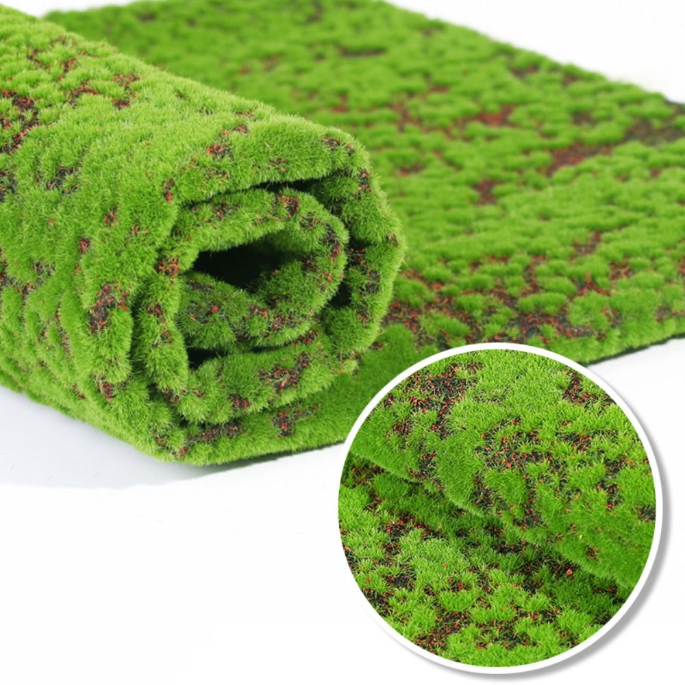 DIY Fake Moss Grass Turf Etern - Preserved Moss Sheet ulasan dan harga