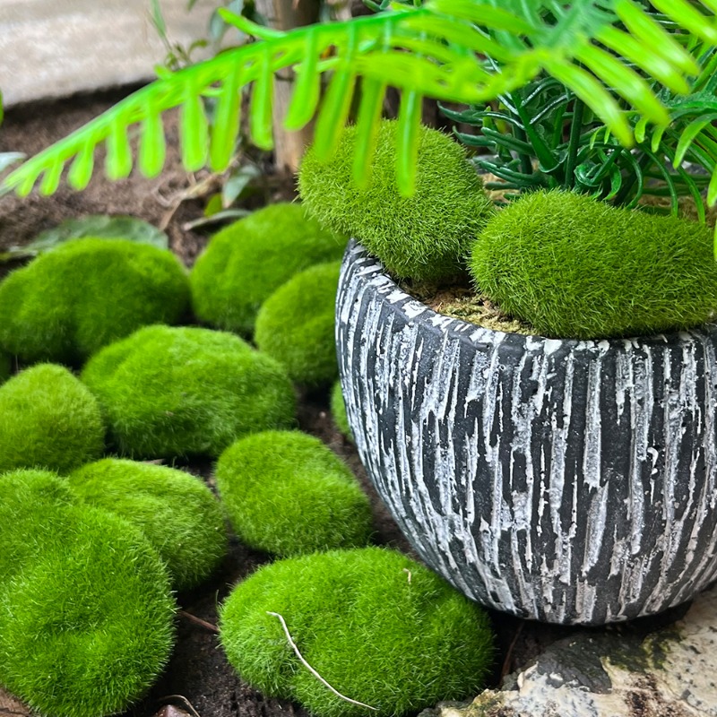100/5PCS Artificial Moss Rock  - Preserved Moss Sheet ulasan dan harga