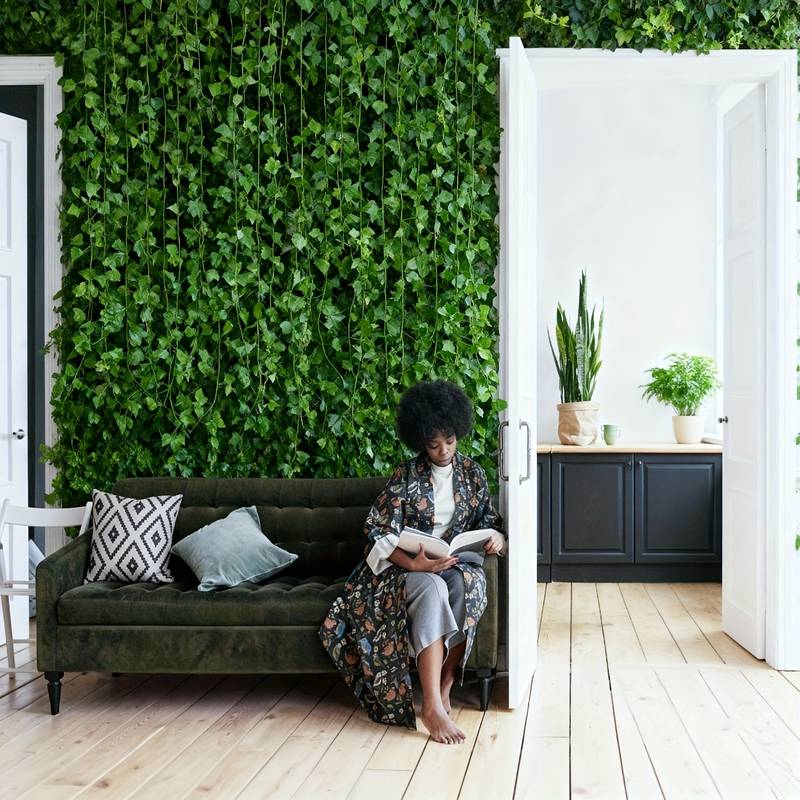24 PCS Total 19m/755inch Ivy G - Preserved Moss Sheet ulasan dan harga