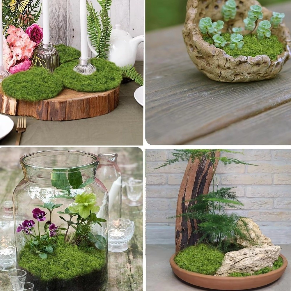 DIY Artificial Grass Rug Durab - Preserved Moss Sheet ulasan dan harga