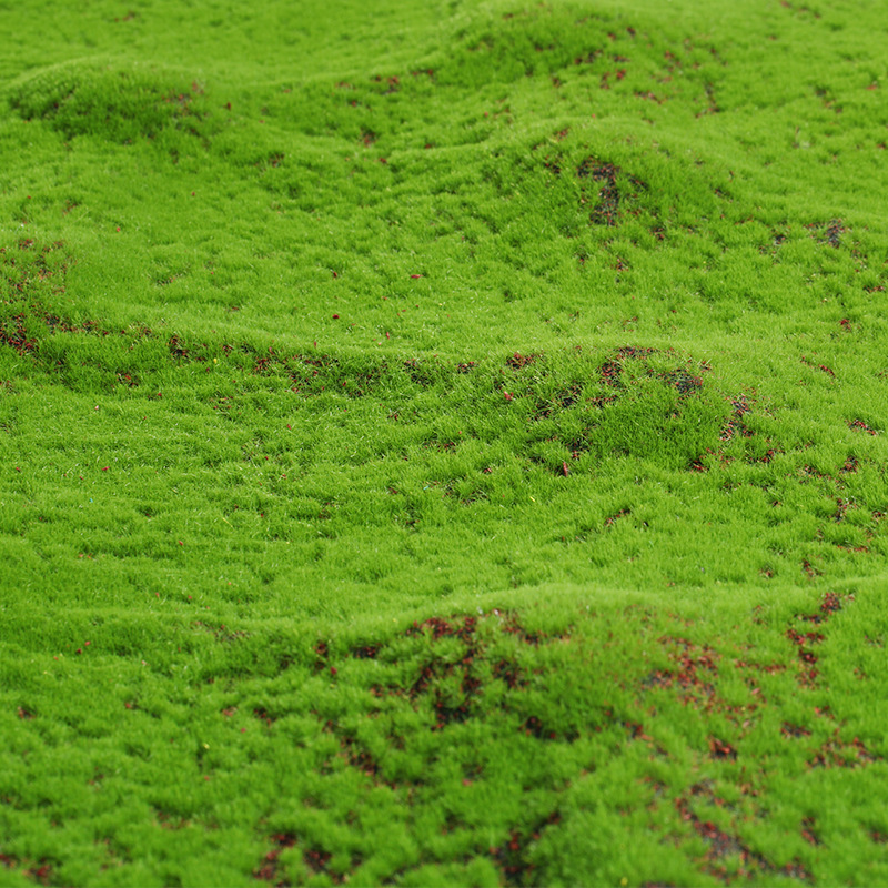 Artificial Green Plants Eterna - Preserved Moss Sheet ulasan dan harga
