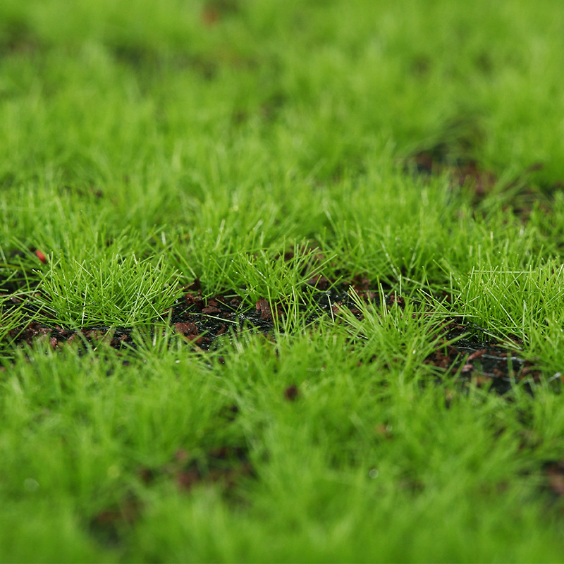 Artificial Green Plants Eterna - Preserved Moss Sheet ulasan dan harga